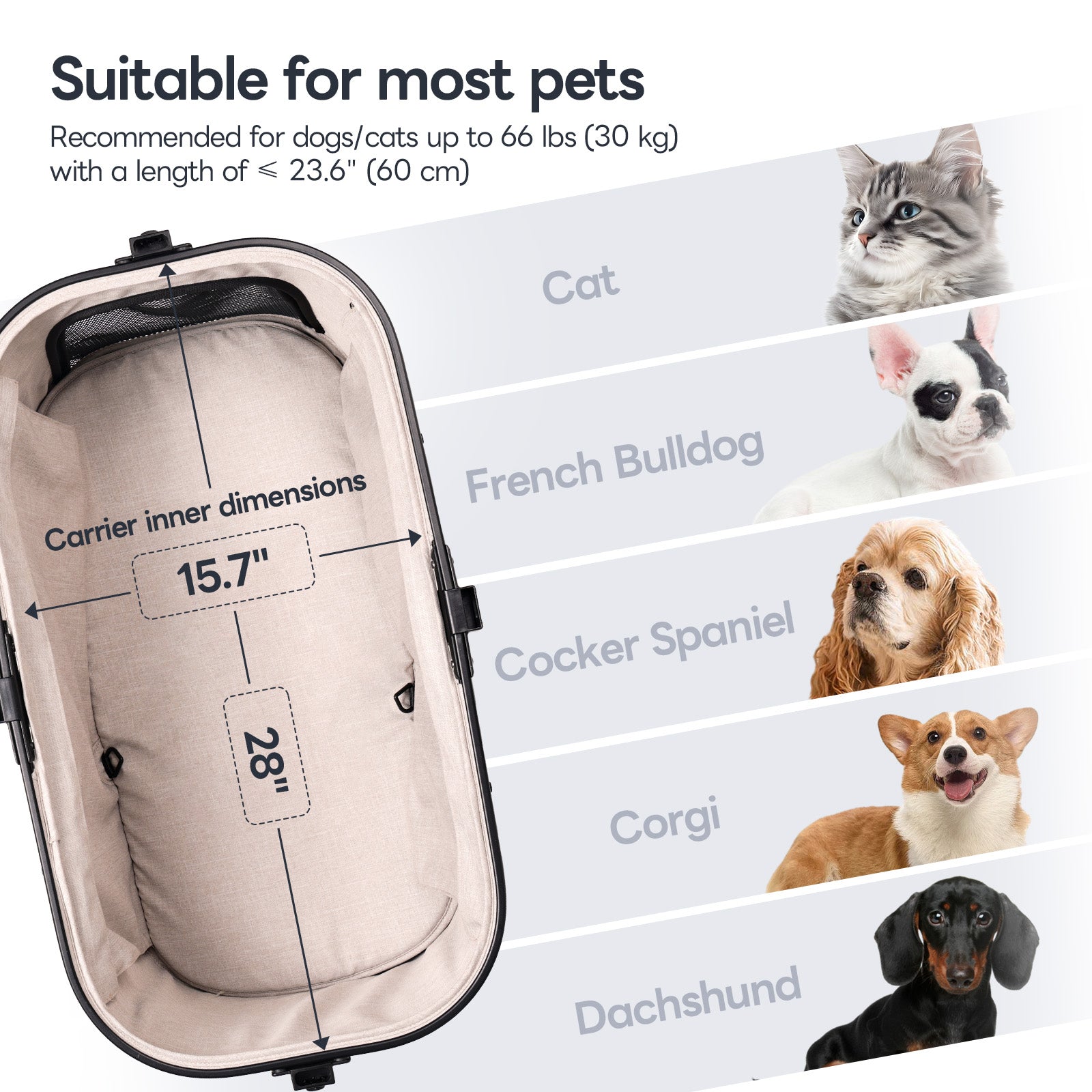 Lightweight Foldable Pet Stroller for Medium-Sized Dogs -TERRA