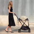 Load image into Gallery viewer, Gravity Folding Pet Stroller - NEWTON
