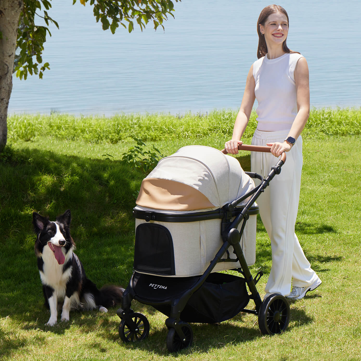 Lightweight Foldable Pet Stroller for Medium-Sized Dogs -TERRA